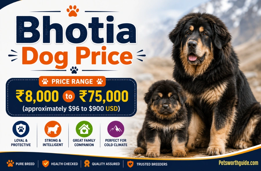 Bhotia Dog Price in India 2026: Real Costs, City-Wise Rates & Ownership Breakdown Bhotia Dog Price