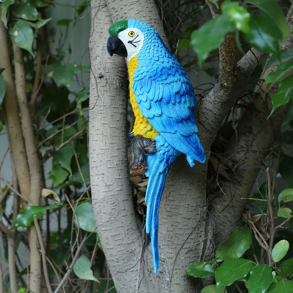 Macaw Parrot Size